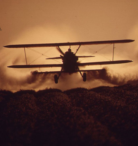 CROP DUSTING NEAR CALIPATRIA IN THE IMPERIAL VALLEY